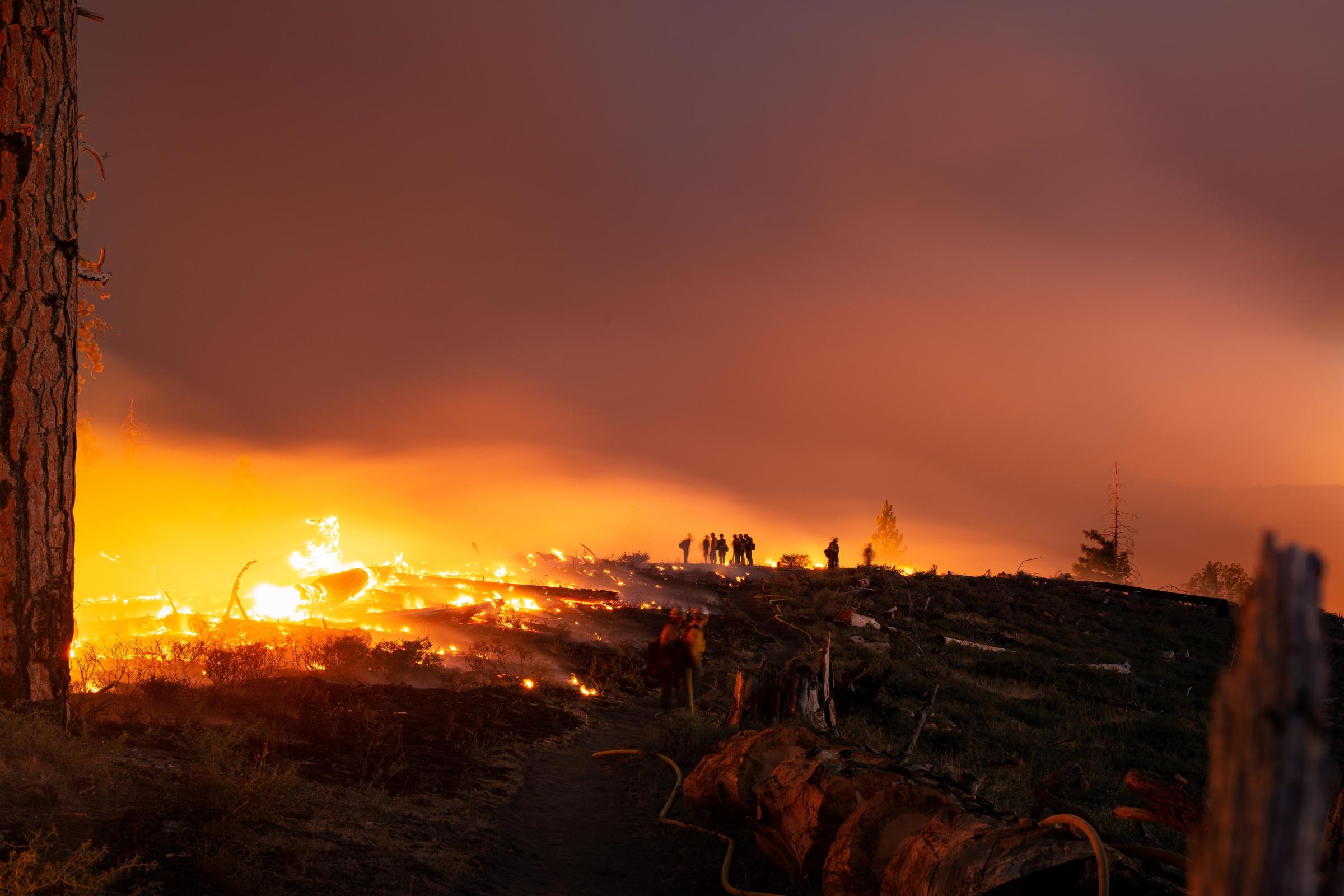 Incendiul din California a ars o suprafață de aproape 90.000 km2