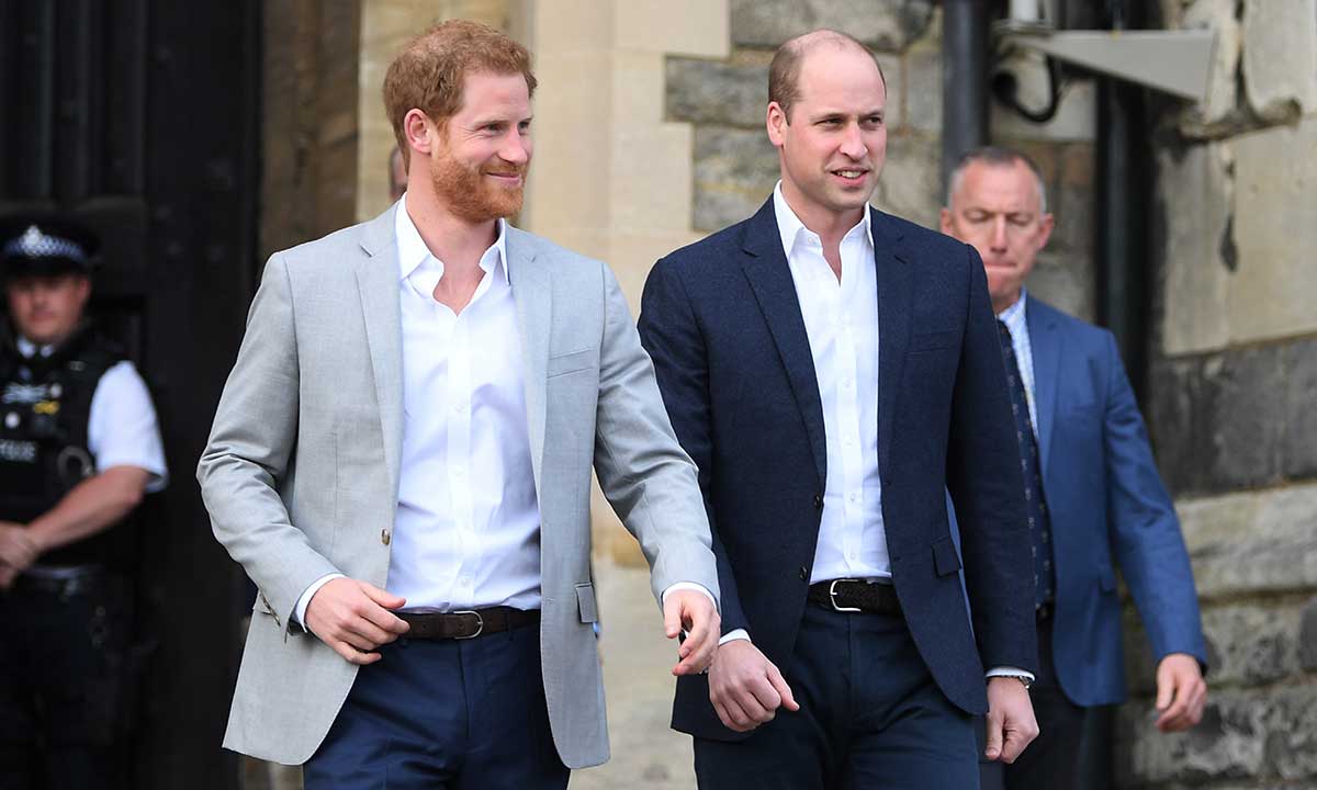 Neînțelegerile dintre Prințul William și Prințul Harry, cauzate de responsabilitățile lor roiale?