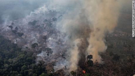 Leonardo DiCaprio răspunde după ce președintele Braziliei îl acuză pe actor pentru incendii forestiere din Amazon