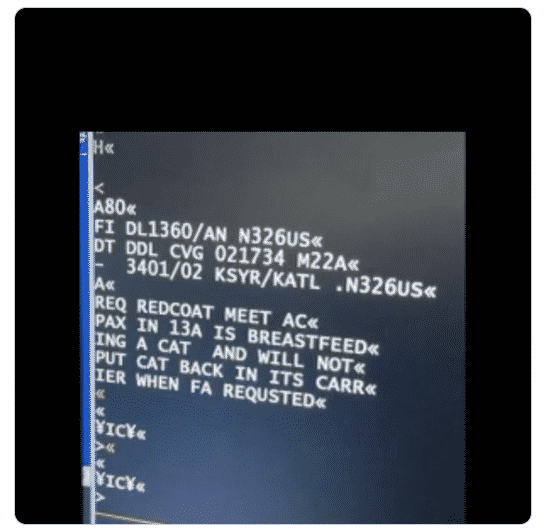 Incident ciudat la bordul unui avion. O femeie și-a ridicat cămașa și a început să își alăpteze pisica. Imaginile au devenit virale
