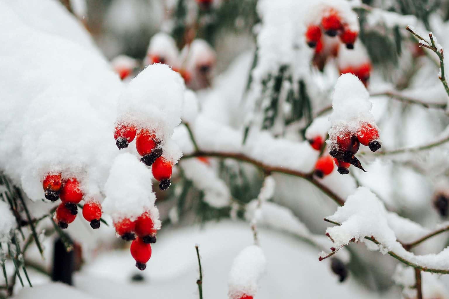 Temperaturile vor scădea foarte mult în următoarea perioadă în România, în toată țara, potrivit Administrației Naționale de Meteorologie (ANM). Conform meteorologilor, un val de aer polar va lovi țara noastră. 