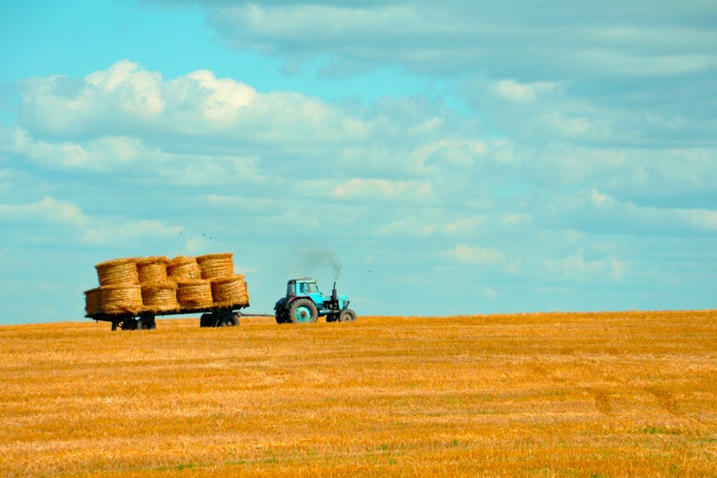 Ministerul Agriculturii, lege nouă. Firmele riscă amenzi de până în 10.000 de euro