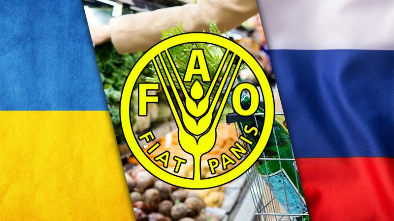 Urmările războiului dintre Rusia și Ucraina! ONU avertizează că prețurile alimentelor ar putea crește cu 20%