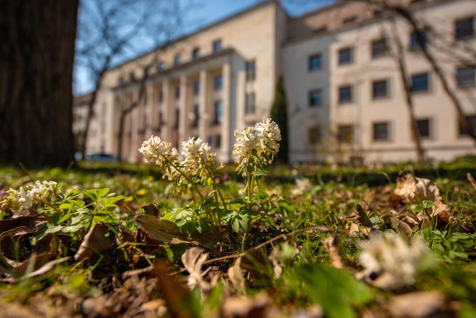 WEEKEND. Cum va fi vremea de Paște în București și celelalte orașe. În unele regiuni va ploua