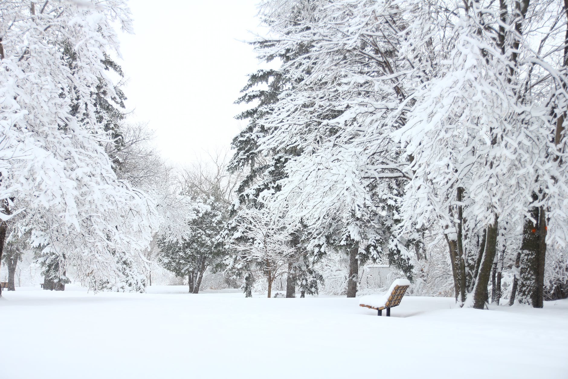 Meteorologii trag un semnal de alarmă! A fost emisă o avertizare de vreme deosebit de rece și ger. Ce zone sunt afectate