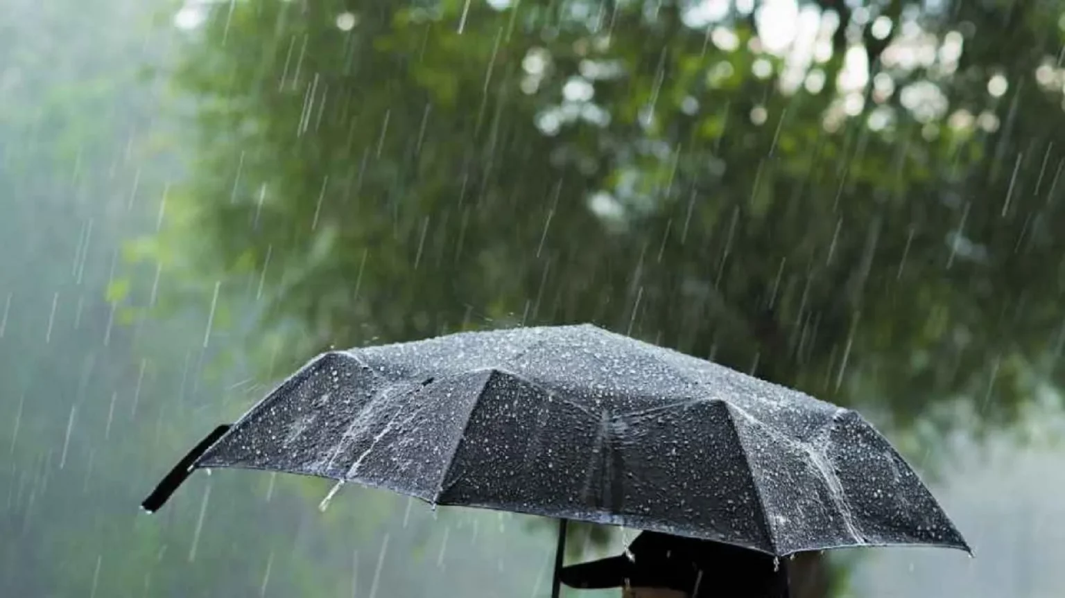 Fenomenele meteo extreme fac ravagii în România! Cod galben și portocaliu de vreme rea până sâmbătă seara