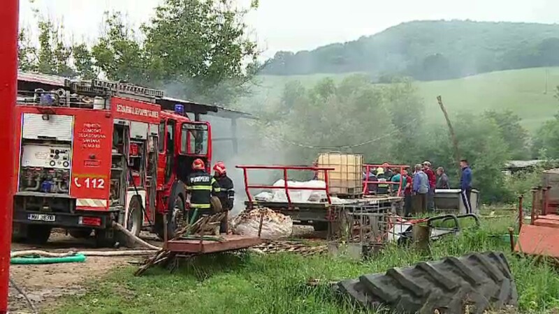 Incendiu puternic în Târgu-Mureș! Peste 200 de oi și miei au ars de vii. De la ce au izbucnit flăcările