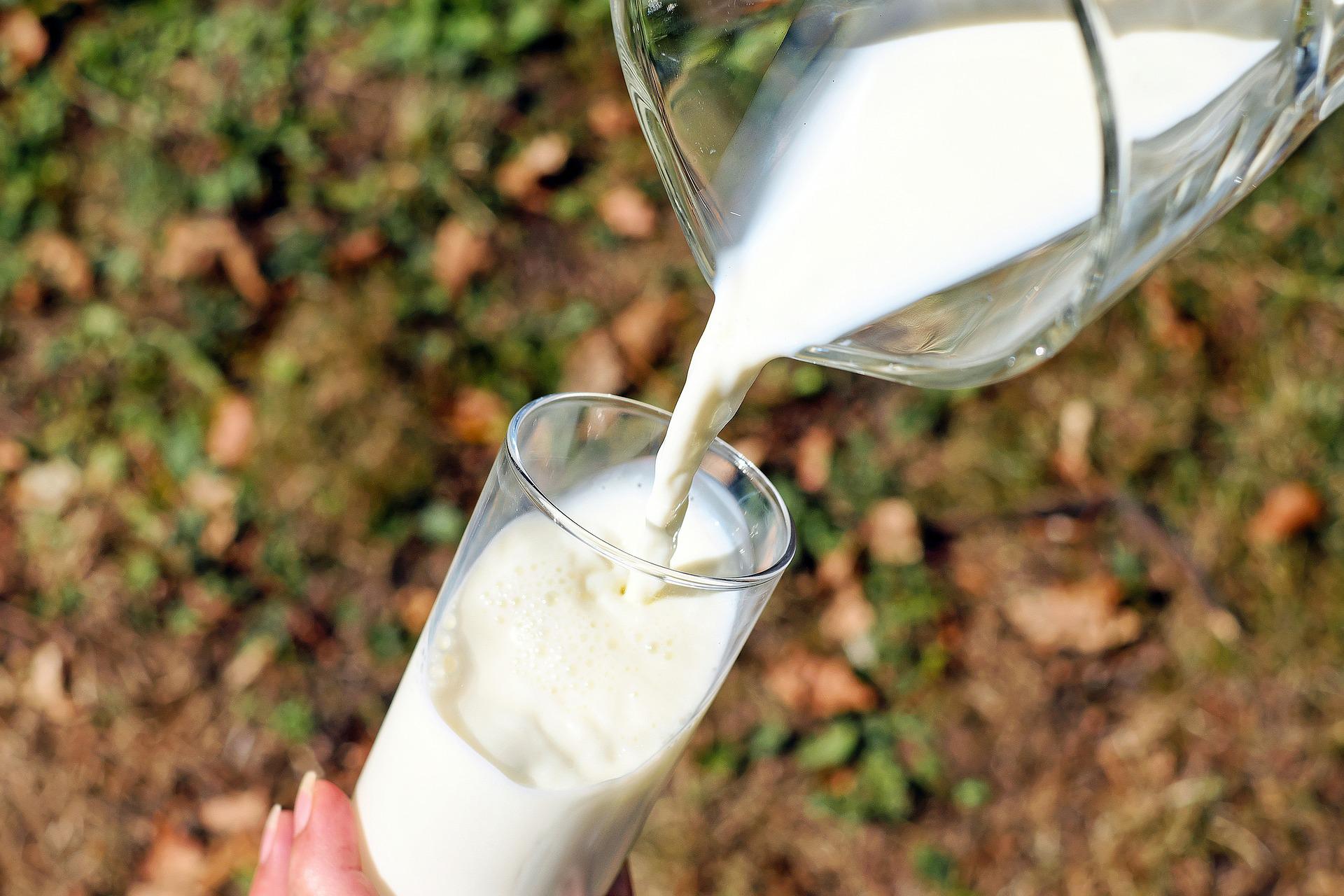 Care este diferența dintre laptele crud și cel pasteurizat. Medicii știu care este mai bun pentru tine