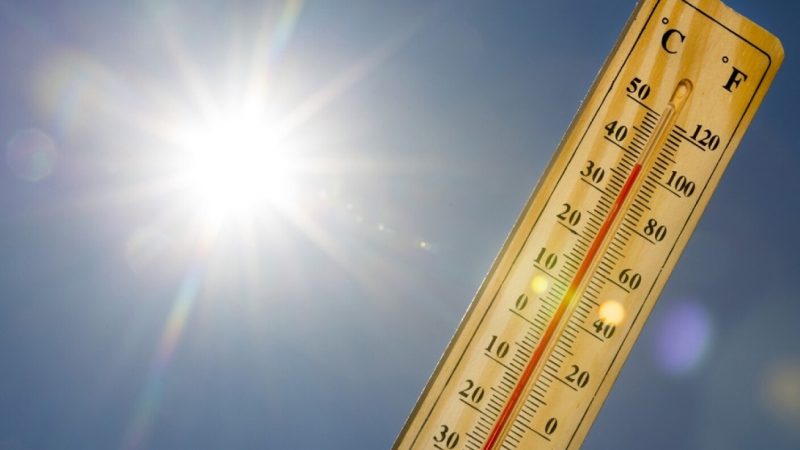 Ultima oră! România, lovită de un val puternic de căldură. Zilele în care se vor înregistra și 38 de grade