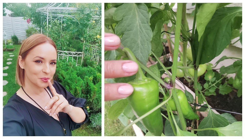 Ce cultivă Andreea Marin, în grădina sa. Când vine vorba de legume și fructe, „Zâna” nu se dă în lături de la nimic! FOTO