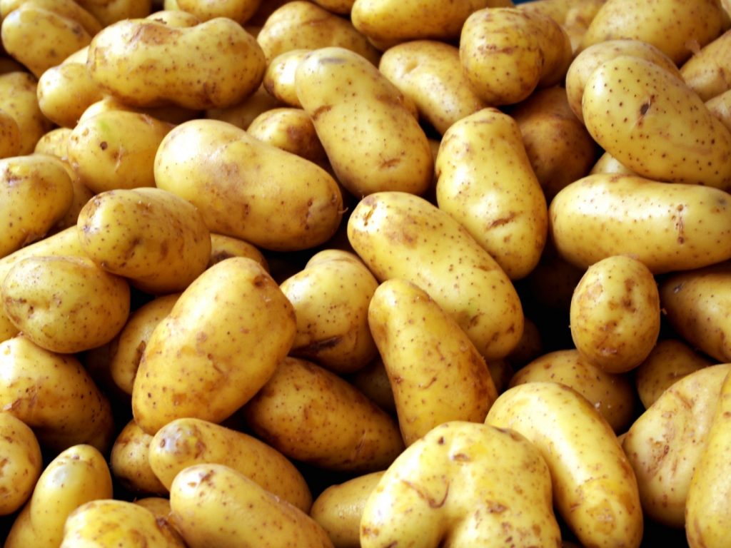Prețul acestei legume va crește enorm! Românii o gătesc aproape zilnic