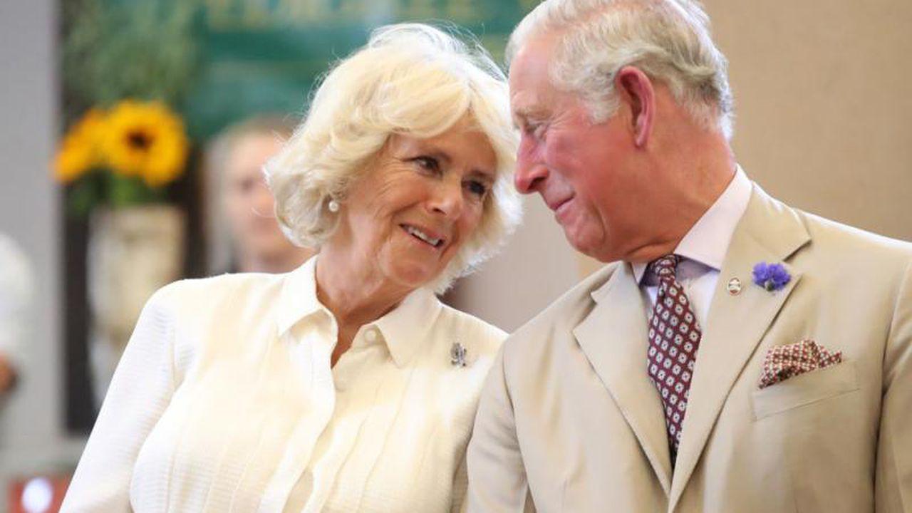 Câți copii are, de fapt, Camilla Parker Bowles. Ce fel de mamă este soția regelui Charles al III-lea