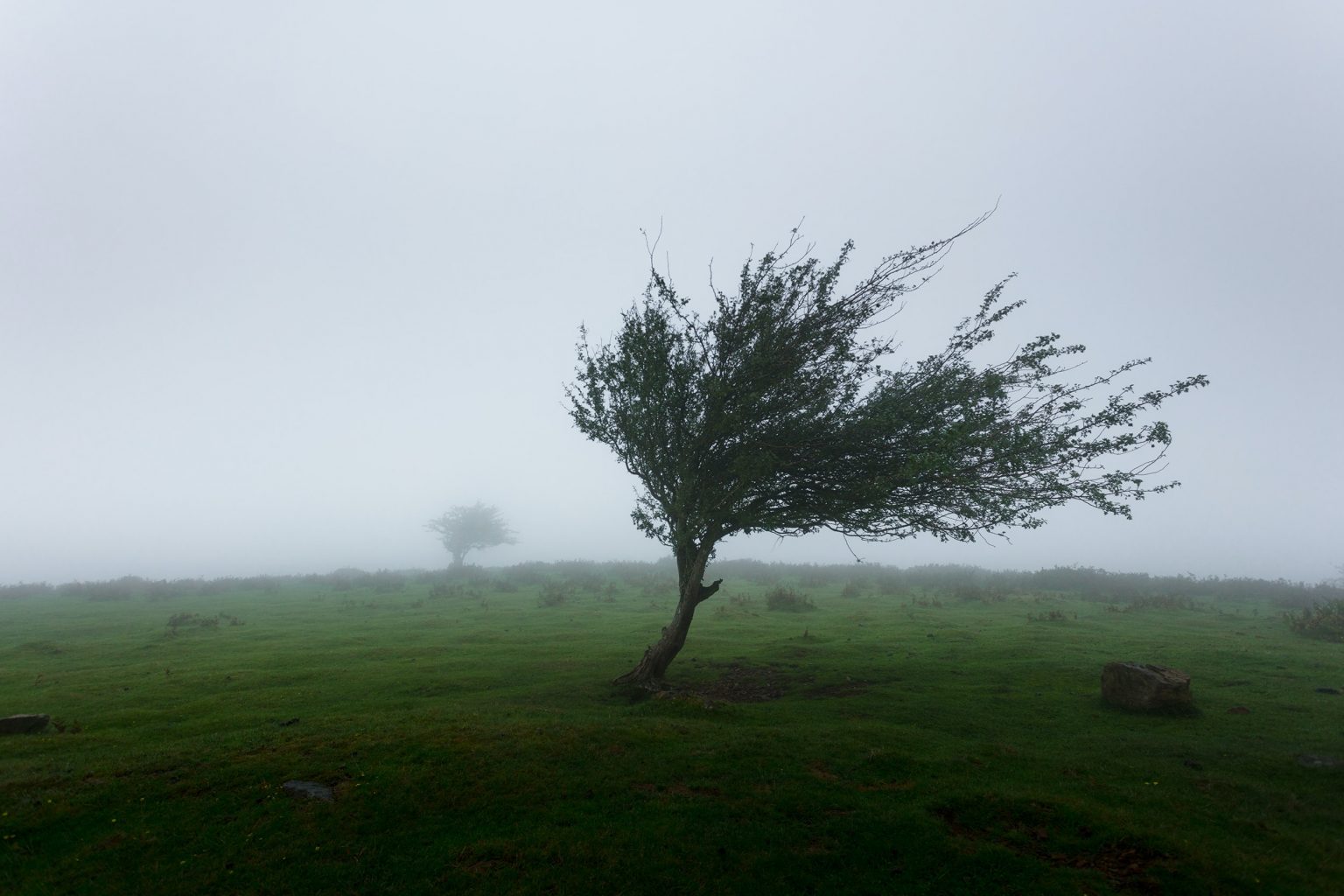 Se întoarce iarna în România! Avertizare meteo Cod galben de îngheț, lapoviță și ninsoare în aproape toată țara