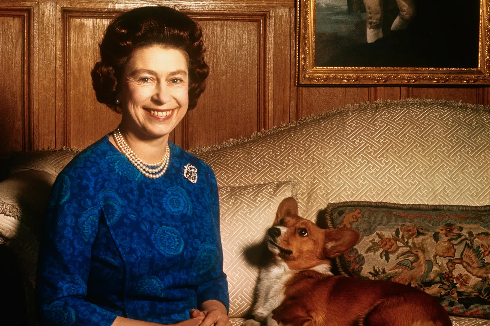 Cum au ajuns Corgi să fie câinii preferați ai Reginei Elisabeta. Patrupedele au dus o viață de lux alături de Suverană