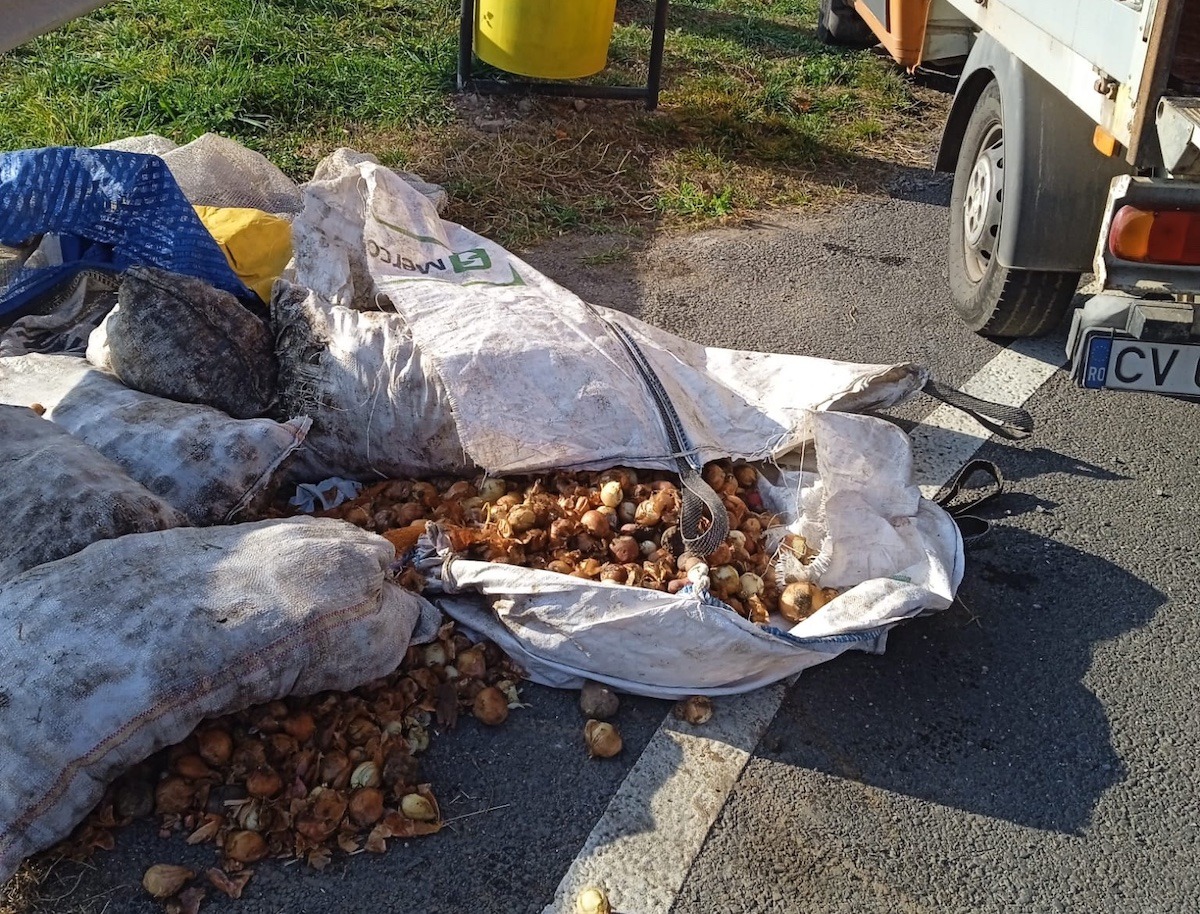 Zeci de kilograme de legume, aruncate pe marginea șoselei. Unii producători locali renunță la a mai vinde în piață