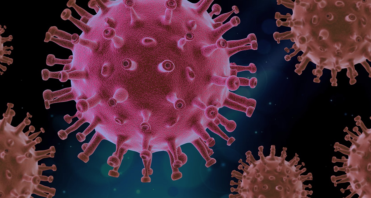 Un nou virus periculos face ravagii. Deja au fost raportate primele victime