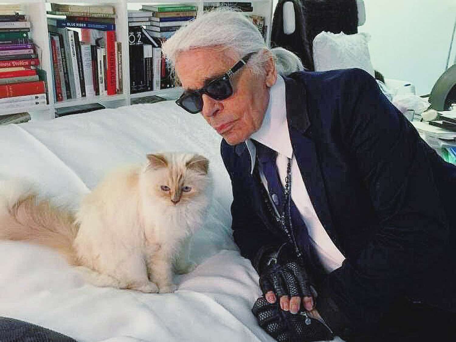 Ce avere are pisica lui Karl Lagerfeld. Felina Choupette stă pe un munte de bani