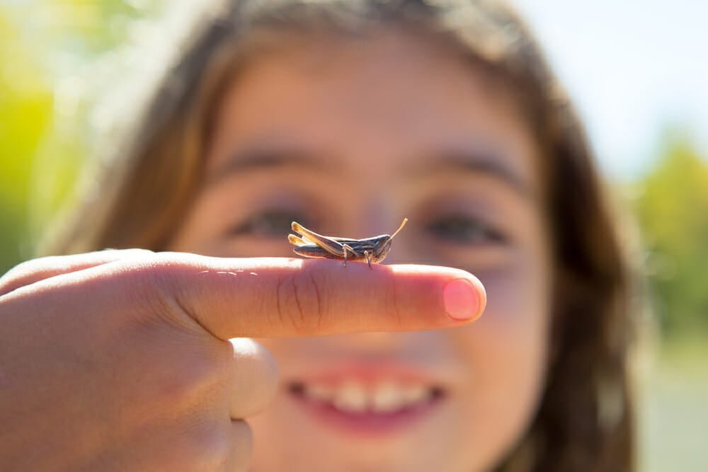 Revoltător! Copii obligați de o profesoară să mănânce insecte pentru a salva planeta