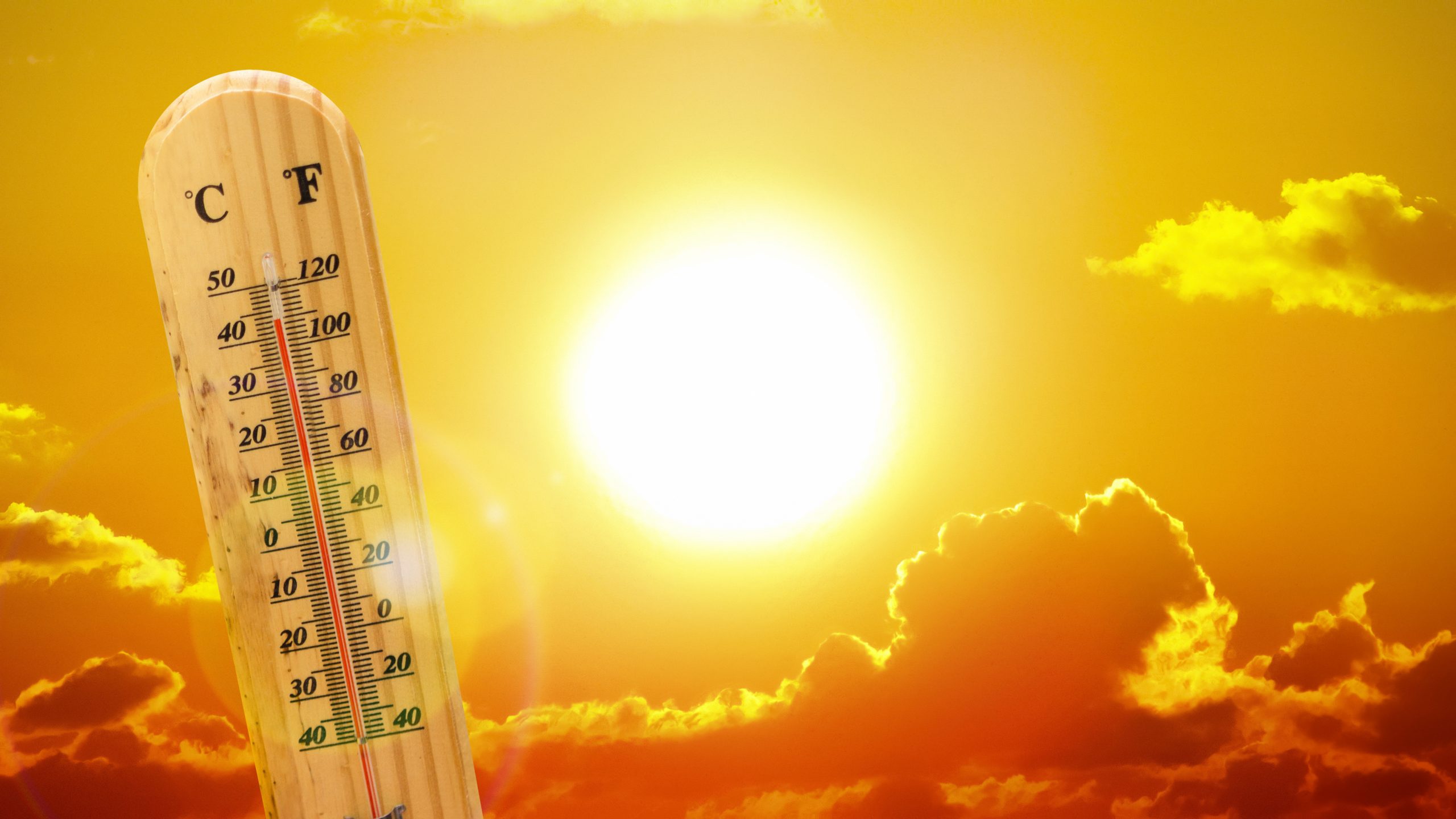 Căldura se intensifică în România! ANM a emis Cod portocaliu de caniculă în Capitală și mai multe județe. Temperaturile vor ajunge la 39 de grade Celsius