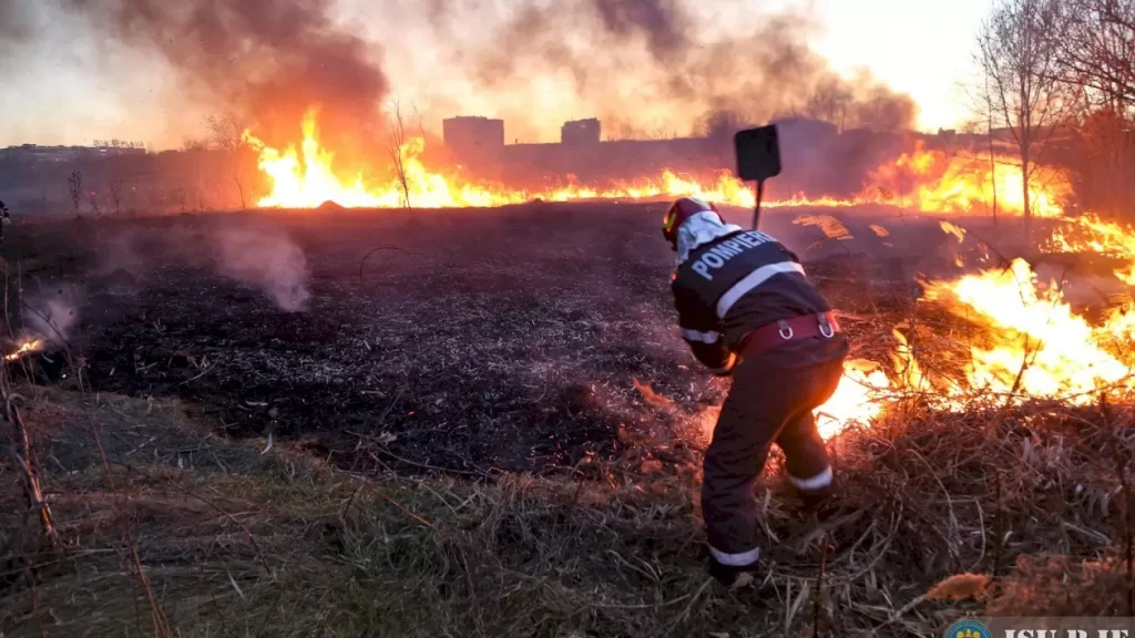 Incendiu de vegetație în județul Ilfov! ISUBIF: Au fost alertate nouă autospeciale de stingere