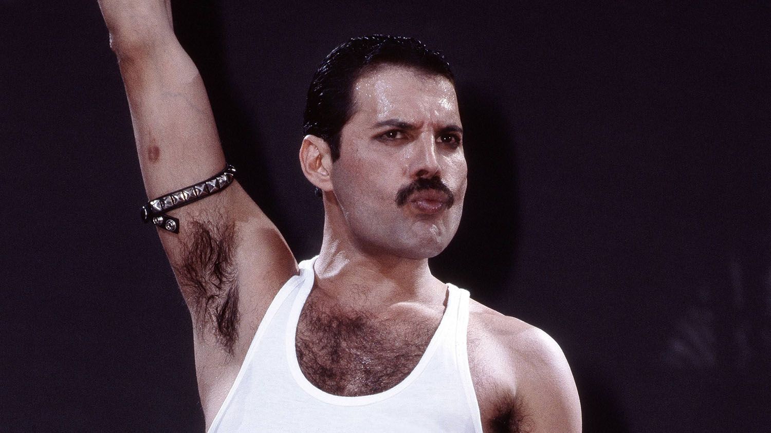 Pieptănul cu care Freddie Mercury își aranja mustața s-a vândut la licitație contra unei sume colosale