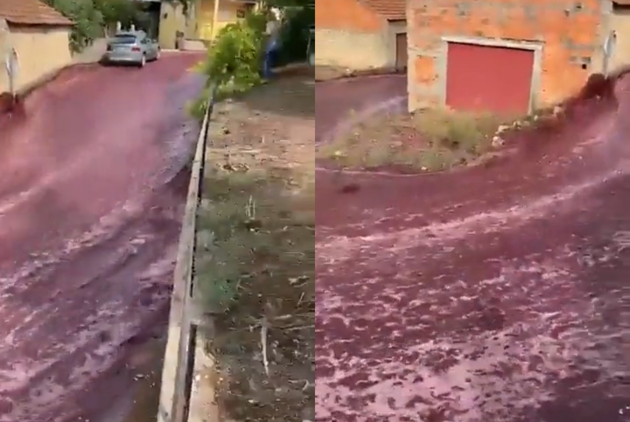 VIDEO. Scene rupte din Biblie. Străzile din Portugalia, inundate de vin